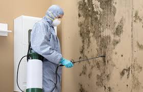 Best Residential Mold Inspection & Testing  in County Center, VA